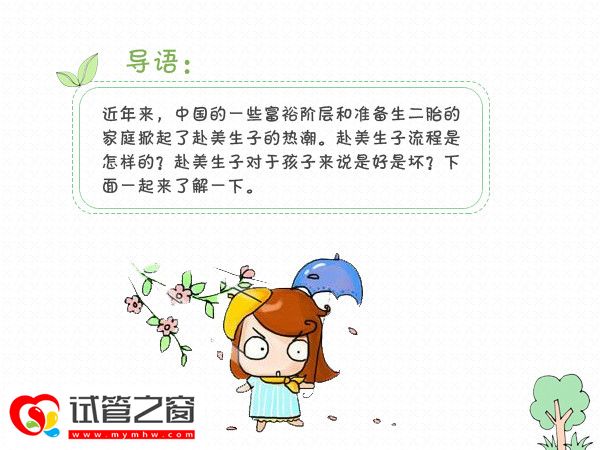 赴美生子利弊全析(图1)